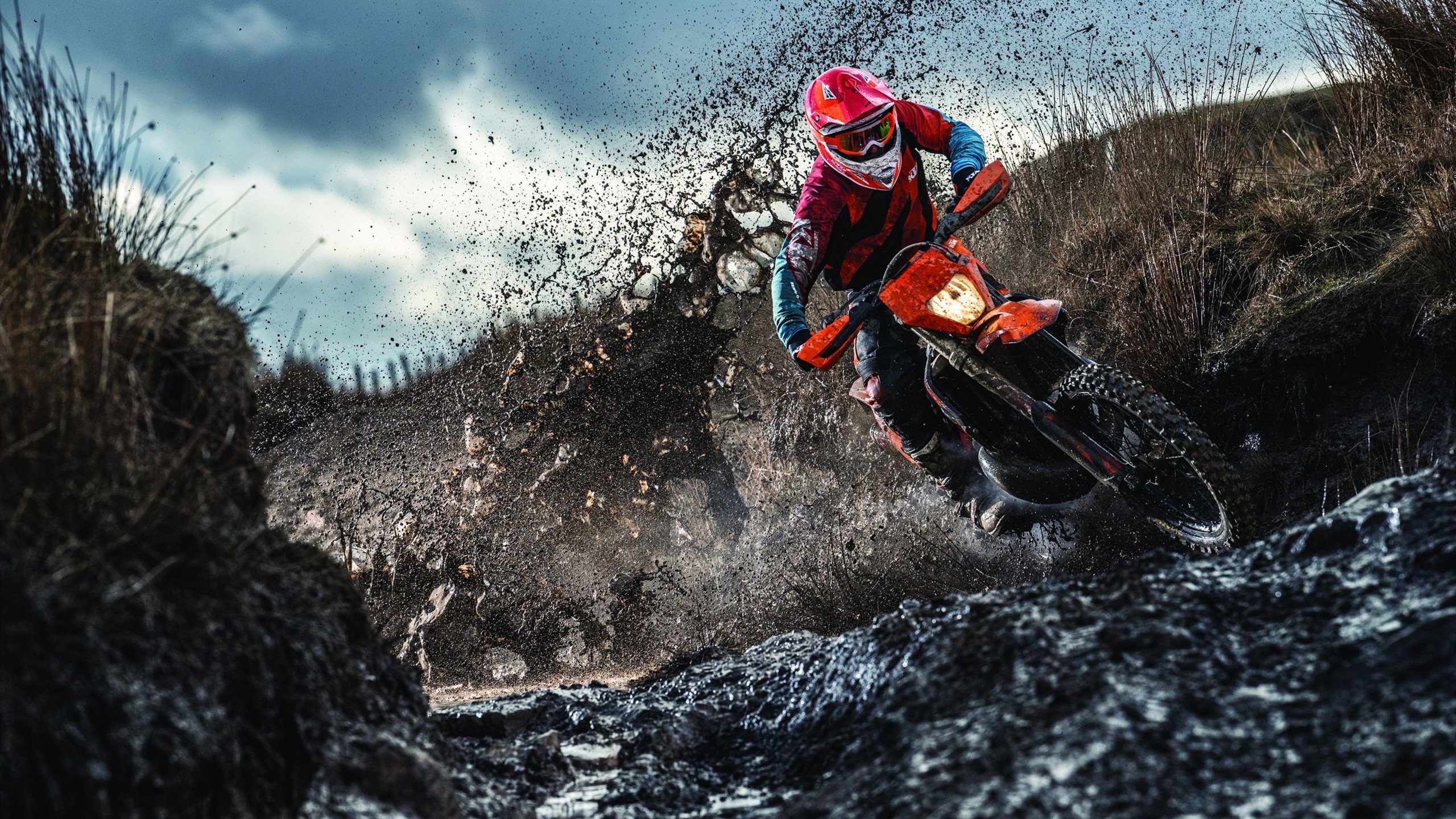 约基奇高能输出撕碎太阳，鹈鹕全面压制展现恐怖统治力